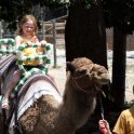 Amber Riding the Camel
